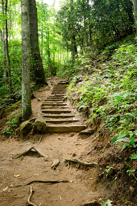 1GENAVA-LEIGH-Asheville-NC-2019-Rainbow-Falls-Pisgah-National-Forest